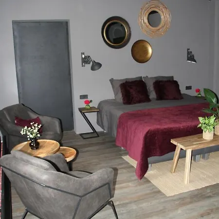 فندق مبيت وإفطار De Rekkendonken 4*