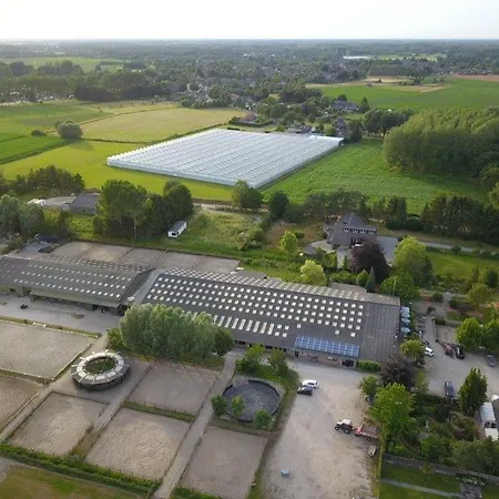 De Rekkendonken Liempde