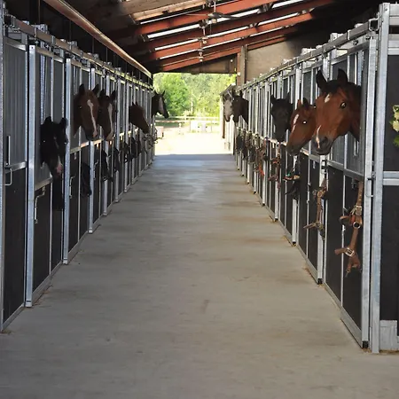 De Rekkendonken 4* Liempde