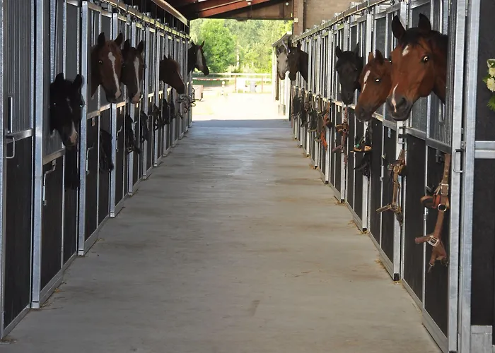 De Rekkendonken 4* Liempde